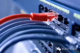愛譜華頓彩色布線解決方案 助力信息系統(tǒng)高效運(yùn)維