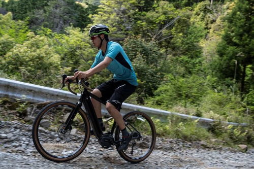 管內(nèi)電池自行車 電動皮卡 電動拖拉機,新產(chǎn)品正在集中爆發(fā)