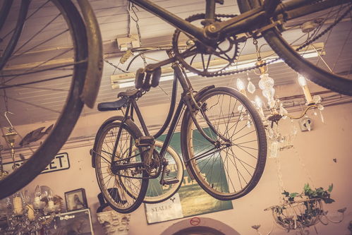 電動(dòng)自行車(chē) 點(diǎn)綴街頭的靚麗風(fēng)景線